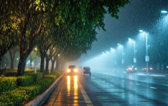 Costly and fleeting Delhi artificial